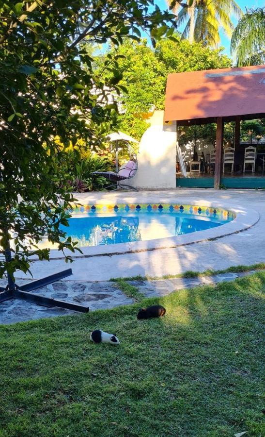 Villa Sonrisa Casa De Huespedes Лас Теренас Екстериор снимка